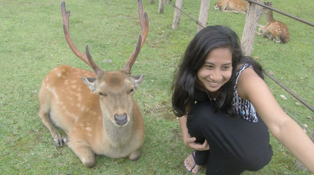 Ina doing a selfie with a deer at Nara Deer Park