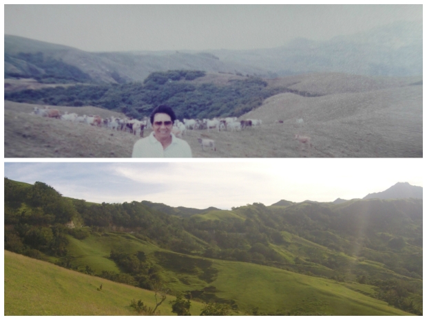 Marlboro Hills. 1995 & 2015 shot.