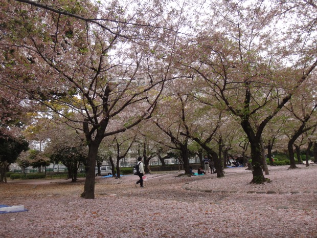Tsurumai Park (2)